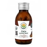 Salvia Paradise Čaga - rezavec šikmý kapsle 60 ks – Hledejceny.cz