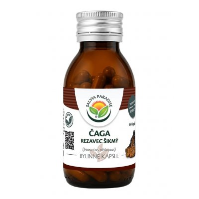 Salvia Paradise Čaga - rezavec šikmý kapsle 60 ks – Hledejceny.cz