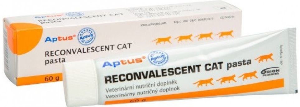 Aptus Reconvalescent Cat pasta pro kočky 60 g