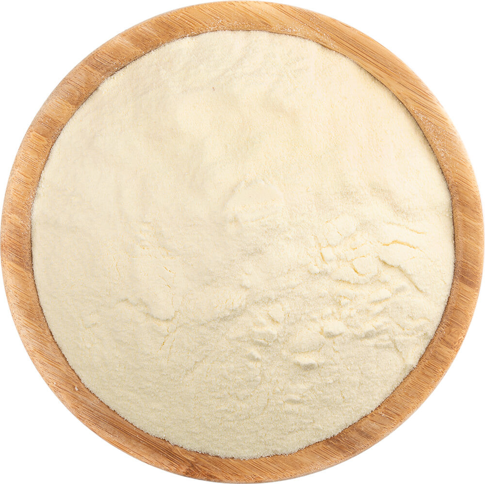 Vital Country Syrovátka v prášku BIO 1000 g