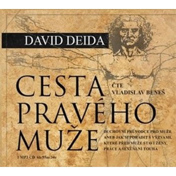 Cesta pravého muže - David Deida, Vladislav Beneš