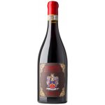 Giusti Amarone della Valpolicella DOCG 2017 15,5% 0,75 l (holá láhev) – Hledejceny.cz