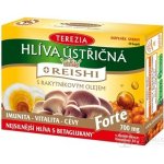 Terezia Company Hlíva ústřičná s Reishi Forte 60 kapslí – Hledejceny.cz