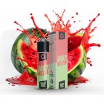 Infamous Liqonic Juicy Melon 10 ml – Zboží Mobilmania