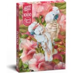 Cherry Pazzi Papoušci 1000 dílků – Sleviste.cz
