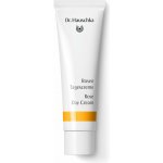 Dr. Hauschka Růžový krém 30 ml – Hledejceny.cz