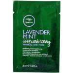 Paul Mitchell Tea Tree Lavender Mint Deep Conditioning Mineral Hair Mak 20 ml – Hledejceny.cz