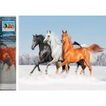 Norimpex Diamantové malování Koňské trio 30 x 40 cm – Hledejceny.cz