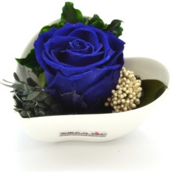 Lena Dark blue - tmavě modrá (Stabilizovaná "věčná" růže v květináčku ve tvaru srdce)