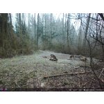 OXE Panther 4G – Zboží Živě