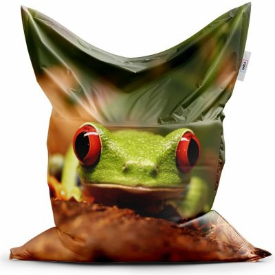 Czech Print s.r.o. sedací vak classic zelená žába dětský, zelená / hnědá – Zboží Dáma
