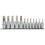 YATO YT-04332 Bity Torx bezpečnostní sada 12 ks (CrV 6150) – Zboží Dáma YATO YT-04332 Bity Torx bezpečnostní sada 12 ks (CrV 6150) – Zboží Dáma