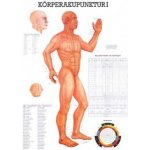 Rüdiger-Anatomie Naučný plakát Akupunktura těla I – Zboží Mobilmania