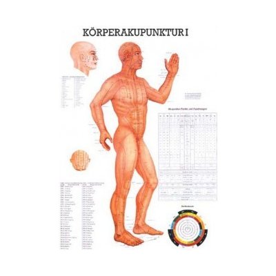Rüdiger-Anatomie Naučný plakát Akupunktura těla I – Zboží Mobilmania