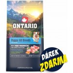 Ontario Puppy & Junior All Breeds Monoprotein Turkey & Sweet Potatoes 6,5 kg – Hledejceny.cz