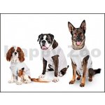 KARLIE Obleček ochranný pooperační 36 cm – Zboží Dáma