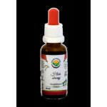 Salvia Paradise Hloh obecný AF tinktura 30 ml – Hledejceny.cz