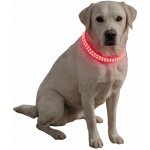 Reedog Flash USB svíticí obojek – Zbozi.Blesk.cz