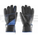 Zanier Rausis GTX black/blue – Hledejceny.cz