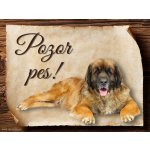 Sport hobby Cedulka Leonberger Pozor pes 15 x 11 cm – Zbozi.Blesk.cz