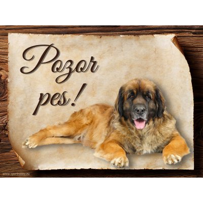 Sport hobby Cedulka Leonberger Pozor pes 15 x 11 cm – Zbozi.Blesk.cz