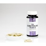 Tyroler Glückspilze Outkovka pestrá Turkey Tail Prášek Bio Coriolus Versicolor Organic Powder kapsle 120 ks – Hledejceny.cz