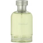 Burberry Weekend toaletní voda pánská 100 ml tester – Sleviste.cz
