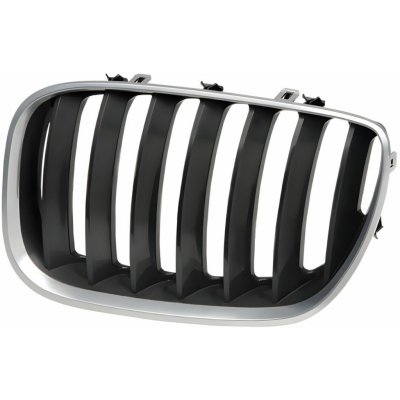 Levá ledvinka masky BMW X5 (E53) |2003-2006| TAIWAN | – Sleviste.cz