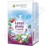 Megafyt Ledový čaj Lesní plody s mátou 20 x 2 g – Zbozi.Blesk.cz