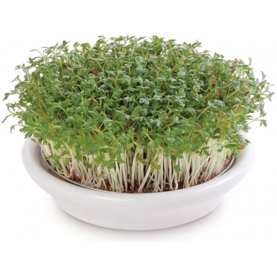Eschenfelder miska na klíčení obilovin 12 cm bílá – HobbyKompas.cz Eschenfelder miska na klíčení obilovin 12 cm bílá – HobbyKompas.cz