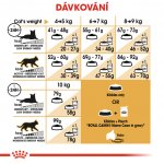 Royal Canin Maine Coon Adult 0,4 kg – Hledejceny.cz