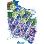 Bref Power Aktiv Pine Lavender tuhý WC blok 4 x 50 g – Zboží Dáma