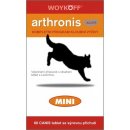 Arthronis ACUTE MINI 60 tbl