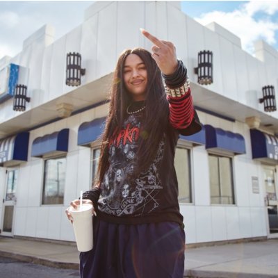 Princess Nokia - A Girl Cried Red LP – Zboží Mobilmania