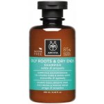 Apivita Oily Roots Dry Ends šampon 250 ml – Zboží Mobilmania