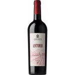 Giusti Antonio DOC Rosso Montello Colli Asolani 13% 0,75 l (holá láhev) – Hledejceny.cz
