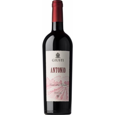 Giusti Antonio DOC Rosso Montello Colli Asolani 13% 0,75 l (holá láhev) – Hledejceny.cz