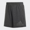 Dámské šortky adidas W Winrs Short