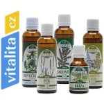 Naděje NK17 Kúra při detoxikaci a regeneraci organismu 225 ml – Hledejceny.cz