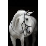Horseware Rambo Micklem Competition černá – Sleviste.cz
