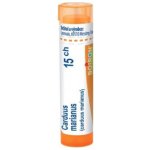 CARDUUS MARIANUS POR 15CH GRA 1X4G – Hledejceny.cz