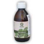 Ekolife Natura Wild Oregano Organic Divoké oregáno Bio 250 ml – Zboží Mobilmania