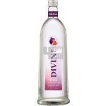 Divine Fig 16,6% 1 l (holá láhev) – Hledejceny.cz