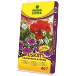 Agro CS Primaflora Substrát pro muškáty (pelargonie) 40 l – Hledejceny.cz