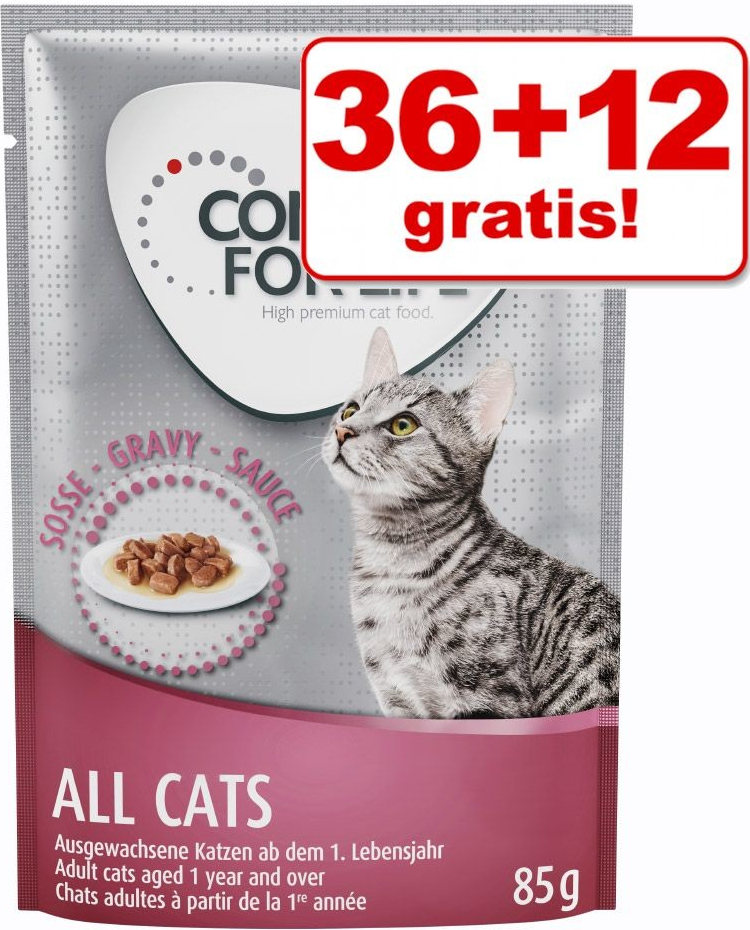 Concept for Life Maine Coon Adult ragú 48 x 85 g