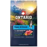 Ontario Puppy & Junior All Breeds Monoprotein Tuna & Sweet Potatoes 0,75 kg – Hledejceny.cz