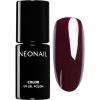 Gel lak NeoNail Winter Collection gelový lak na nehty Midnight Love Story 7,2 ml