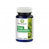 Doplněk stravy Pharma Activ Saw Palmetto 50 tablet