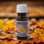 Garden Fresh Aroma Olej Kamasutra 10 ml – Hledejceny.cz