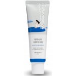 Round Lab Birch Juice Moisturizing Sun Cream SPF50+PA++++ hydratační opalovací krém 50 ml – Zboží Dáma